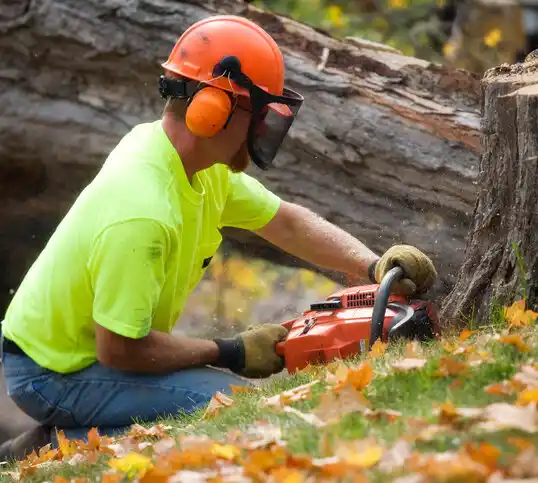 tree services Mandeville